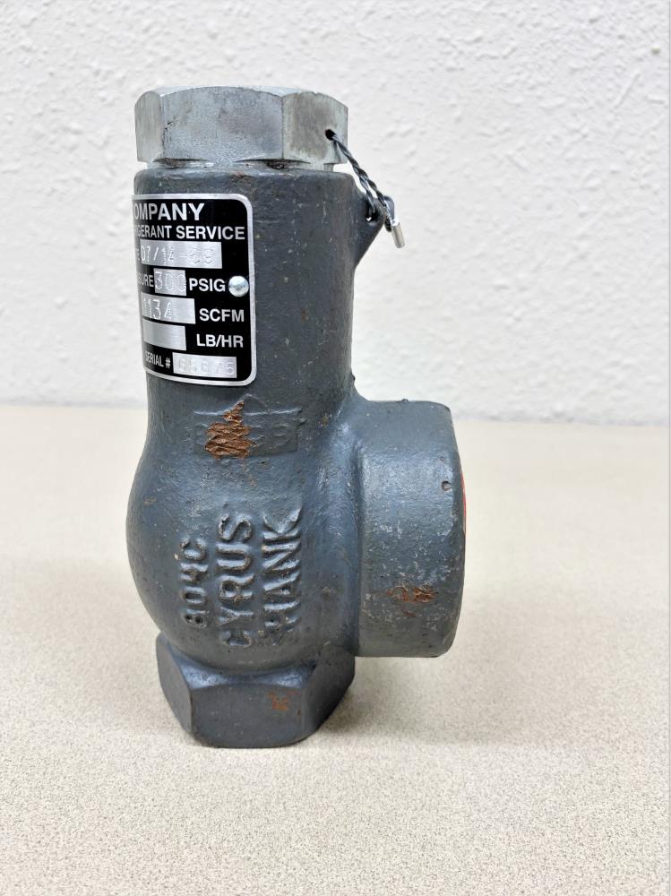 Cyrus Shank 3/4" x -1/4" NPT Safety Relief Valve, Type 814, 300 PSIG